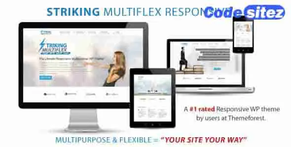 Striking - MultiFlex & Ecommerce Responsive WP Theme